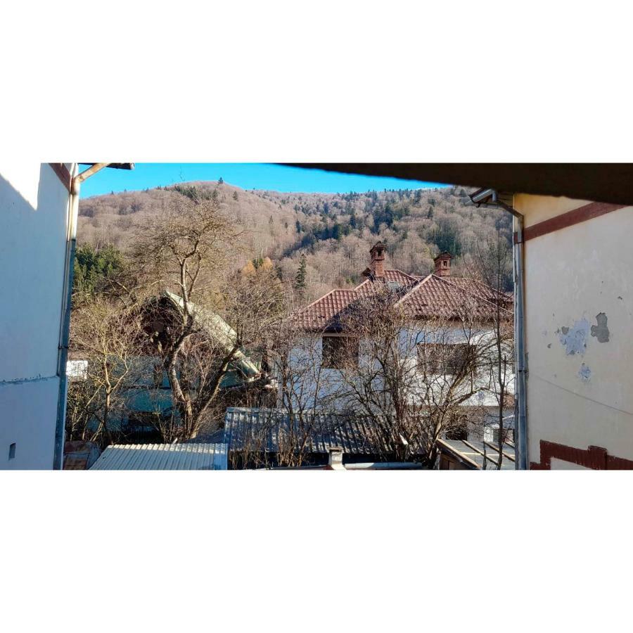 Vaso Apartament Sinaia Exterior photo